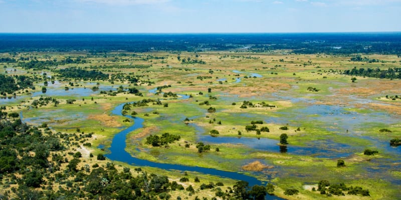 Okavango Delta Region 