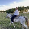 Eine Frau mit weißer Bluse und schwarzer Hose reitet auf einem weißen Pferd in einem grasbewachsenen Feld mit Palmen und Wald im Hintergrund unter klarem Himmel.