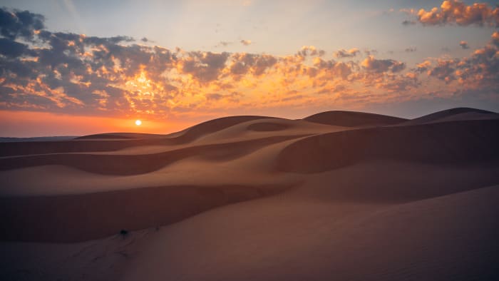 Dunes in the Wahiba Desert
