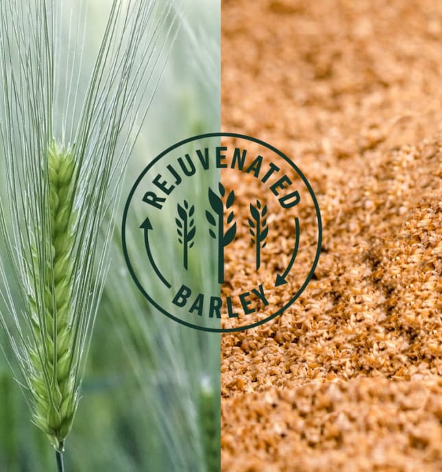 Rejuvenated Barley icon set over images of barley.