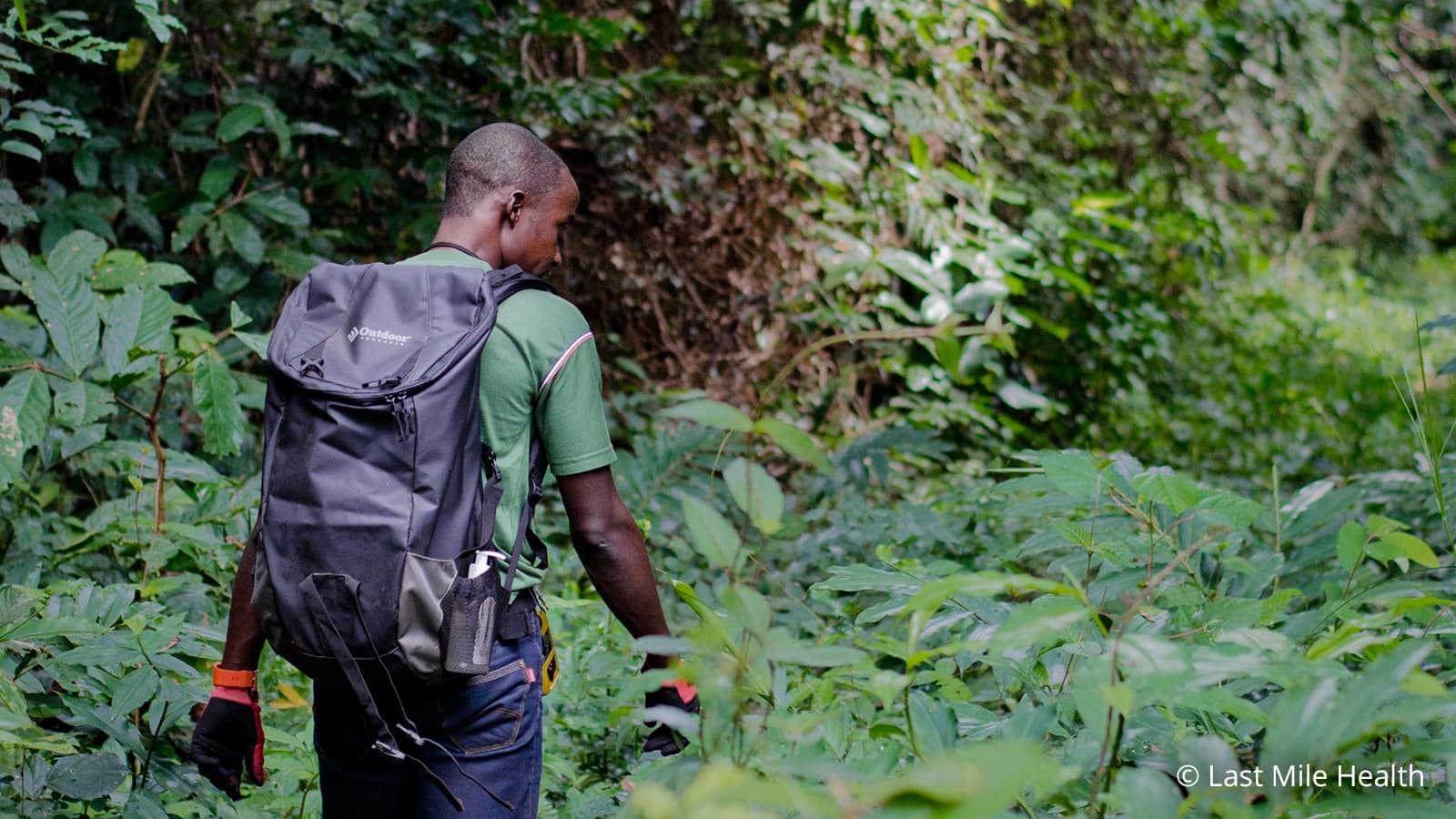 男性が険しい密林を進んでいる