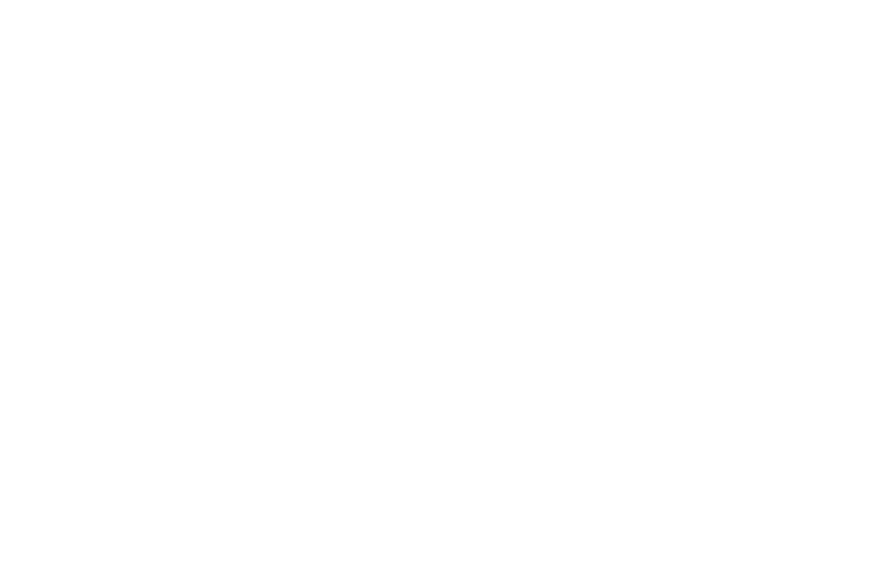 Grafenegg Logo Weiss 800x