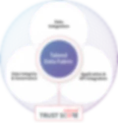 Diagram of Talend Data Fabric: Data integration, data integrity and governance, application and API integration, and Talend Trust Score