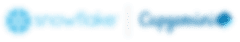 Snowflake and Capgemini company logos