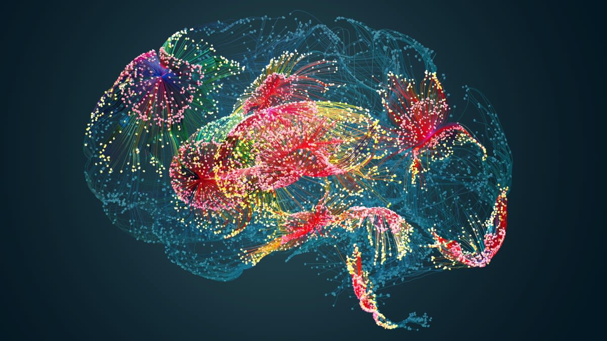 Image of a brain constructed by points of light