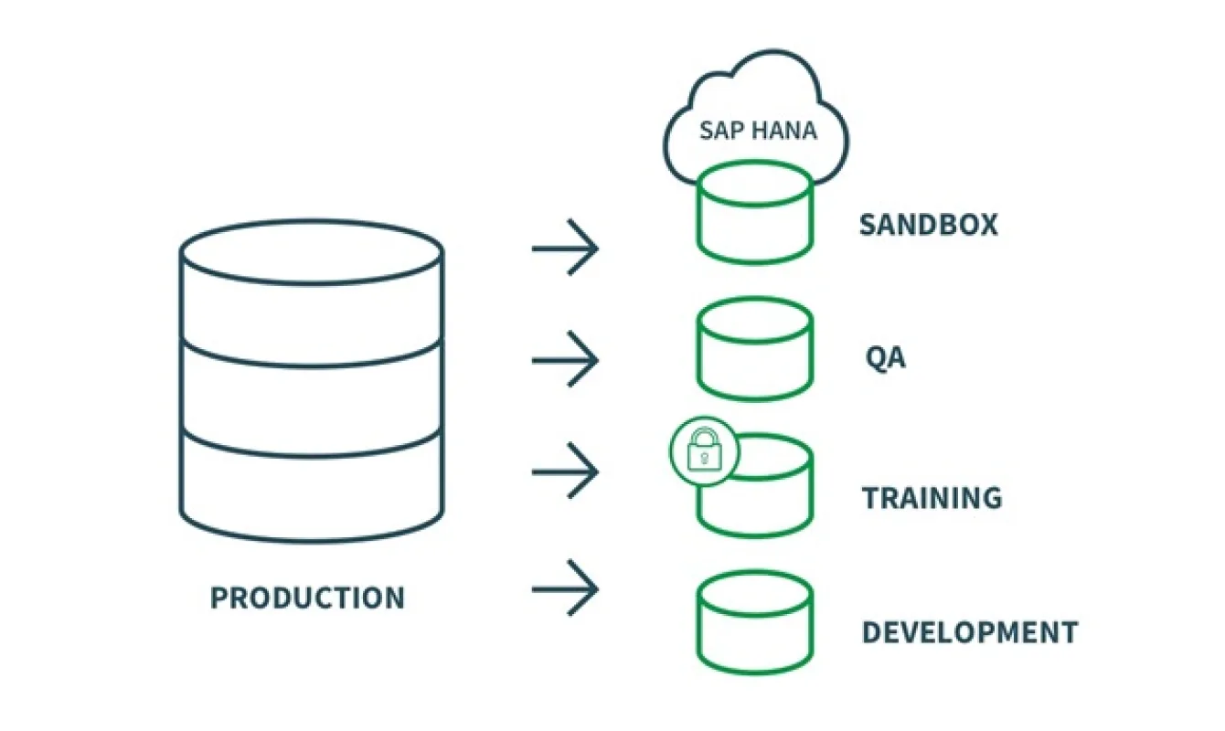 Diagram showing data flow from a "Production" database to four destinations: "SAP HANA Sandbox," "QA," "Training," and "Development" databases, with a lock icon on the "Training" database.