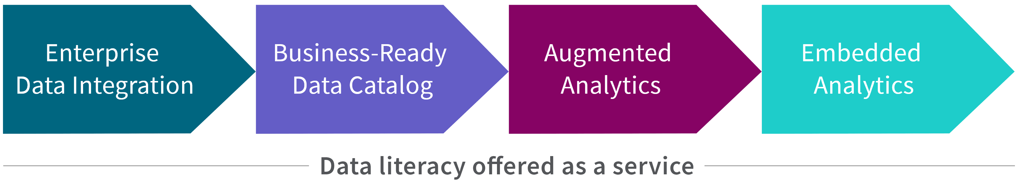 Diagram showing the offerings of data literacy offered as a service