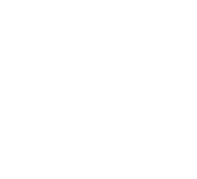 IsoMetrix logo