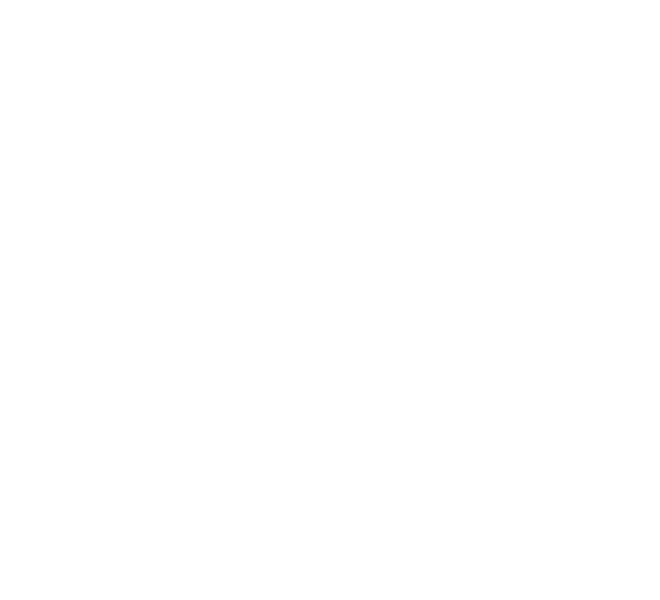 Northrop Grumman Logo