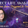 The Perfect Life Awakening Show on Om Times Media