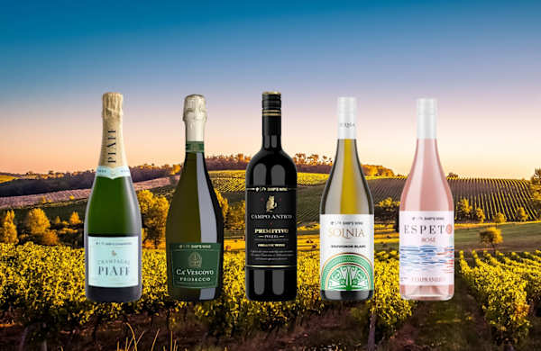 Discover five new distinctive Ship’s Wines