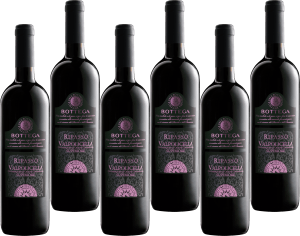 Bottega Ripasso Valpolicella 6x75 cl
