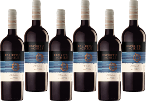 Espiritu De Chile Intrepido Reserva Merlot 6x75 cl