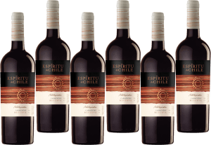 Espiritu De Chile Intrepido Reserva Carmenere 6x75 cl