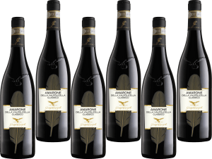 Giuseppe Campagnola Amarone "Feather" 6x75 cl