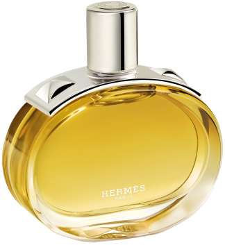 Hermes - Terre D'Hermès Eau Givrée EdP 100 ml
