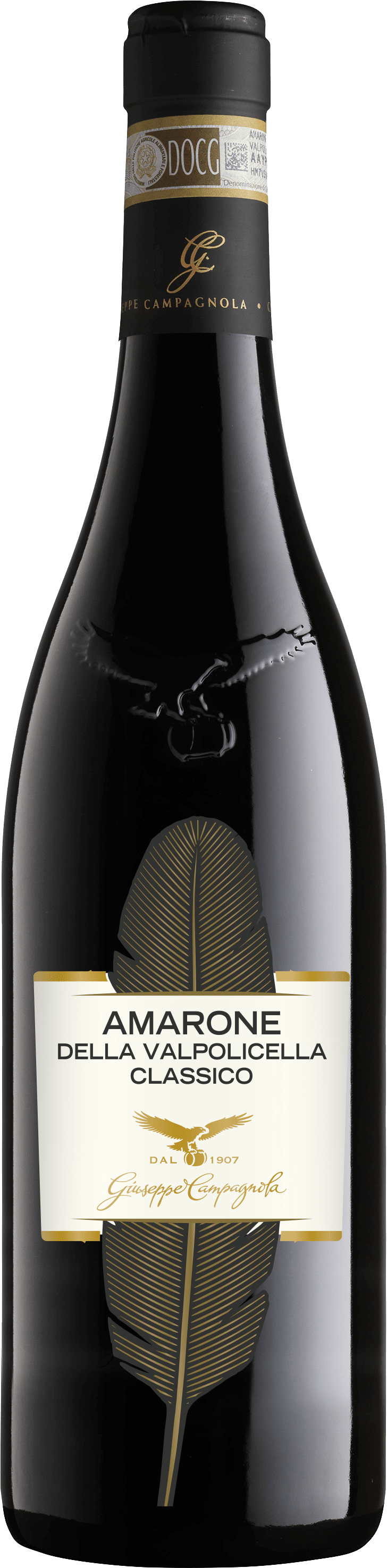Giuseppe Campagnola Amarone "Feather" 75 cl
