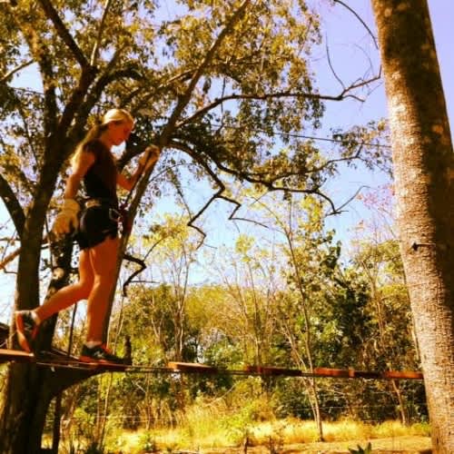 Canopy and Monkey Tree Walk | Tamarindo Active