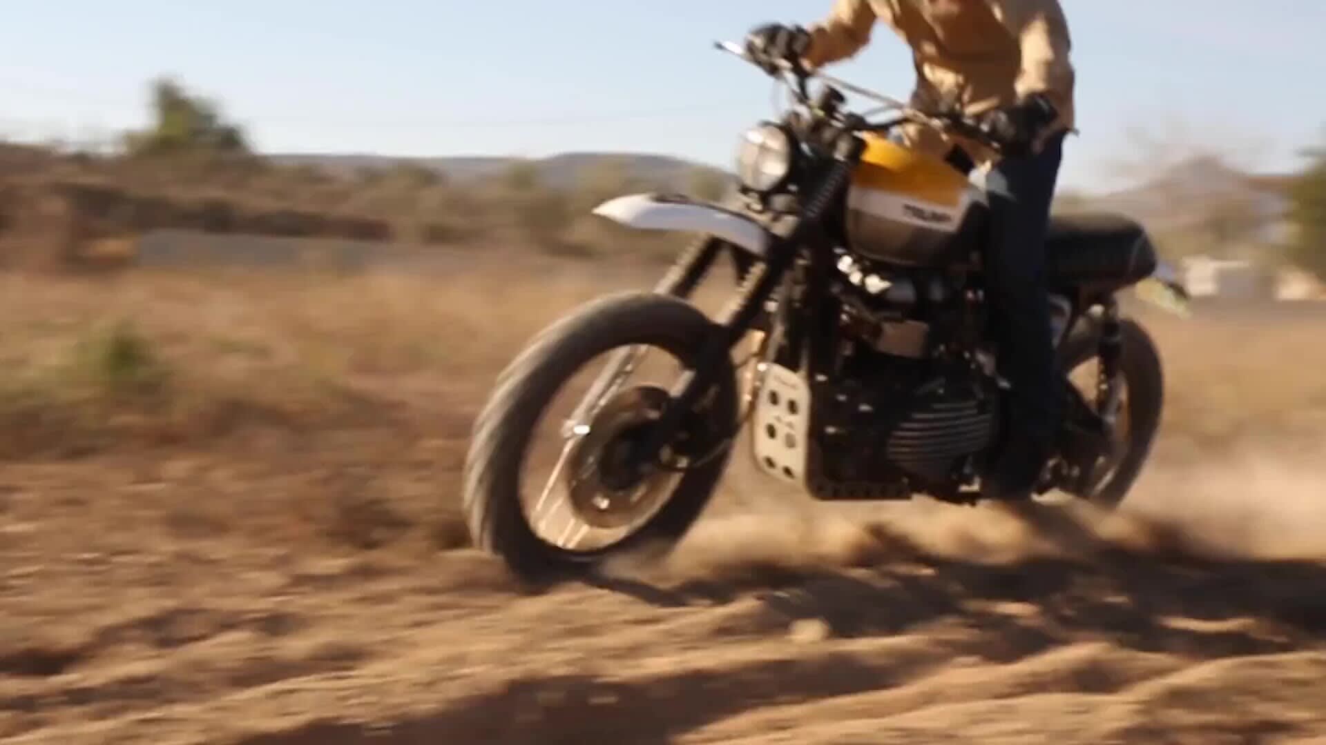 Triumph scrambler 900 off road sales