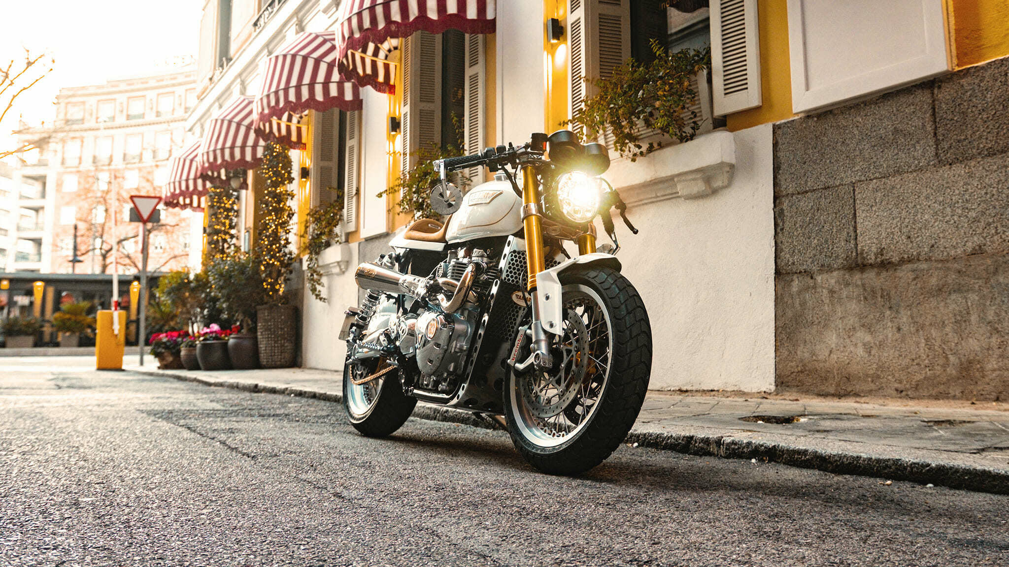 thruxton R Cafe racer tamarit claus