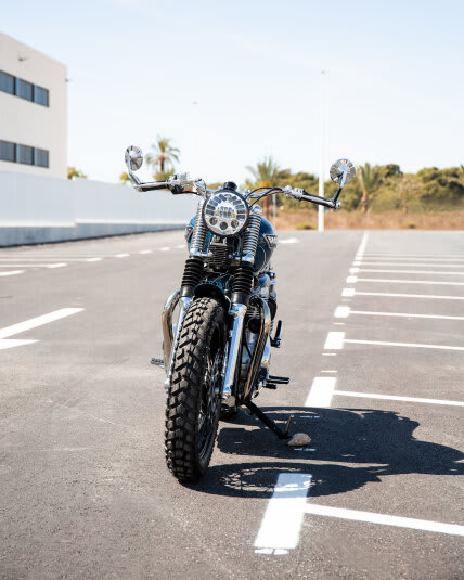Snob cruiser bikes hot sale