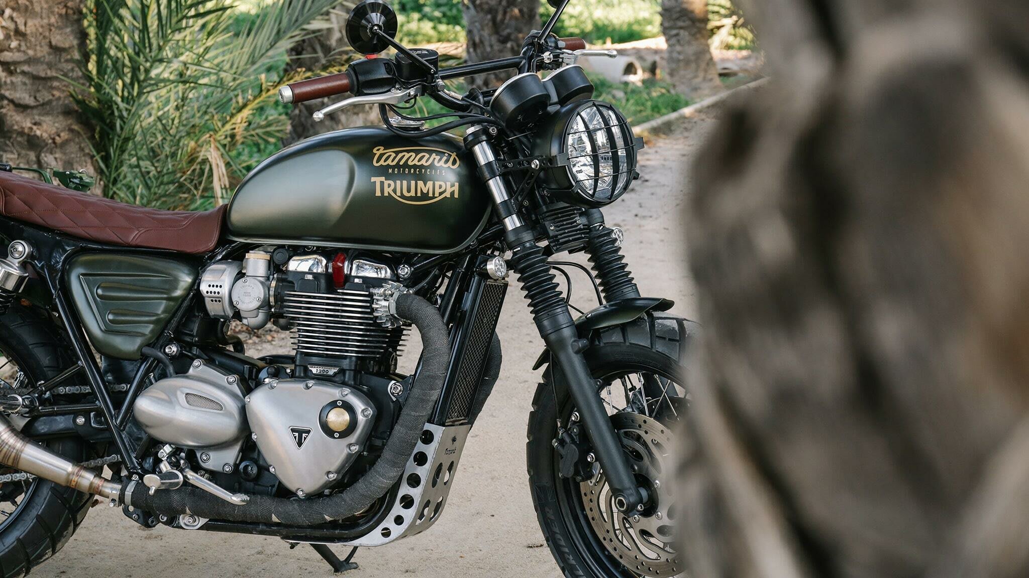 triumph bonneville t120 brat style tamarit muralla