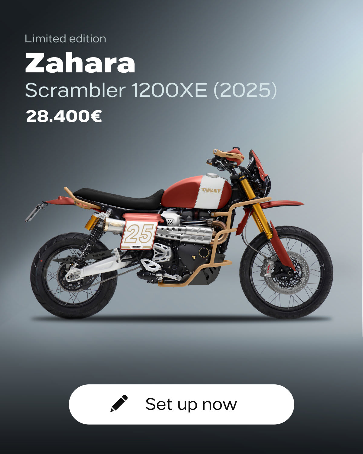 Custom Triumph bikes Works & Parts for the Modern Classics