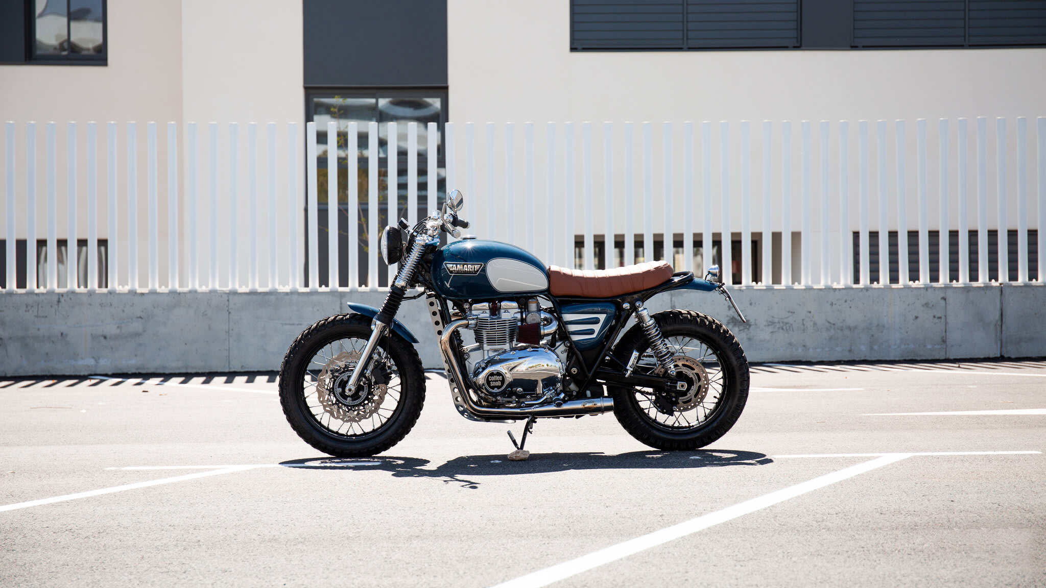 triumph bonneville t120 brat style tamarit coffee snob
