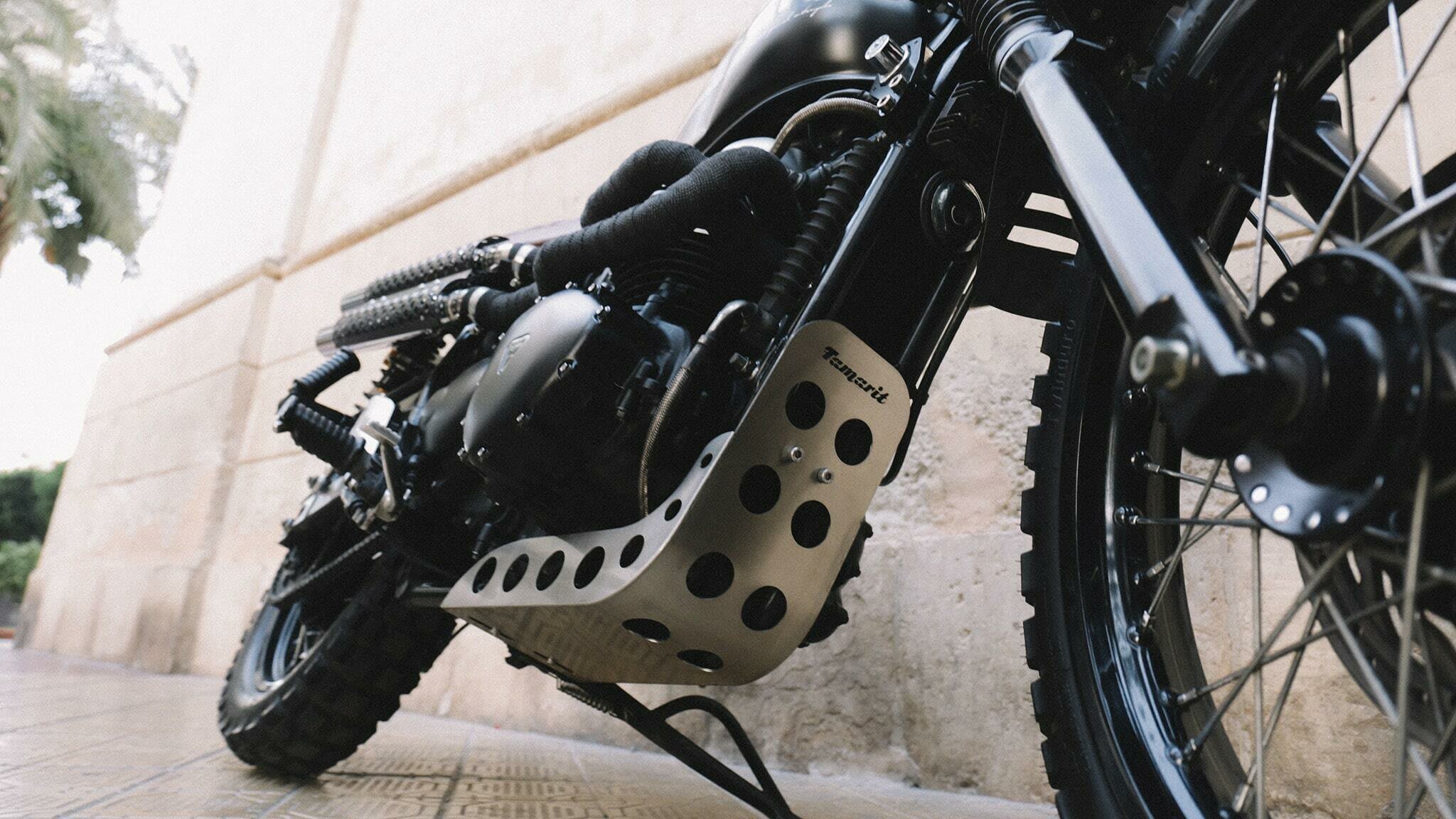 triumph scrambler 900 scrambler style tamarit number 216