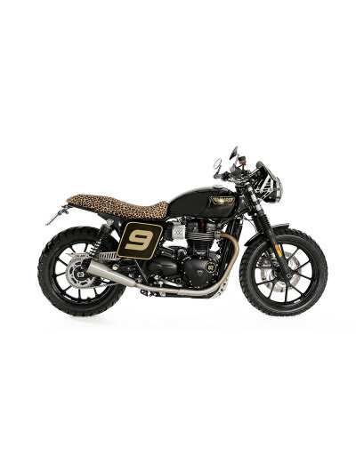 Triumph Street Twin Brat Style Rubita