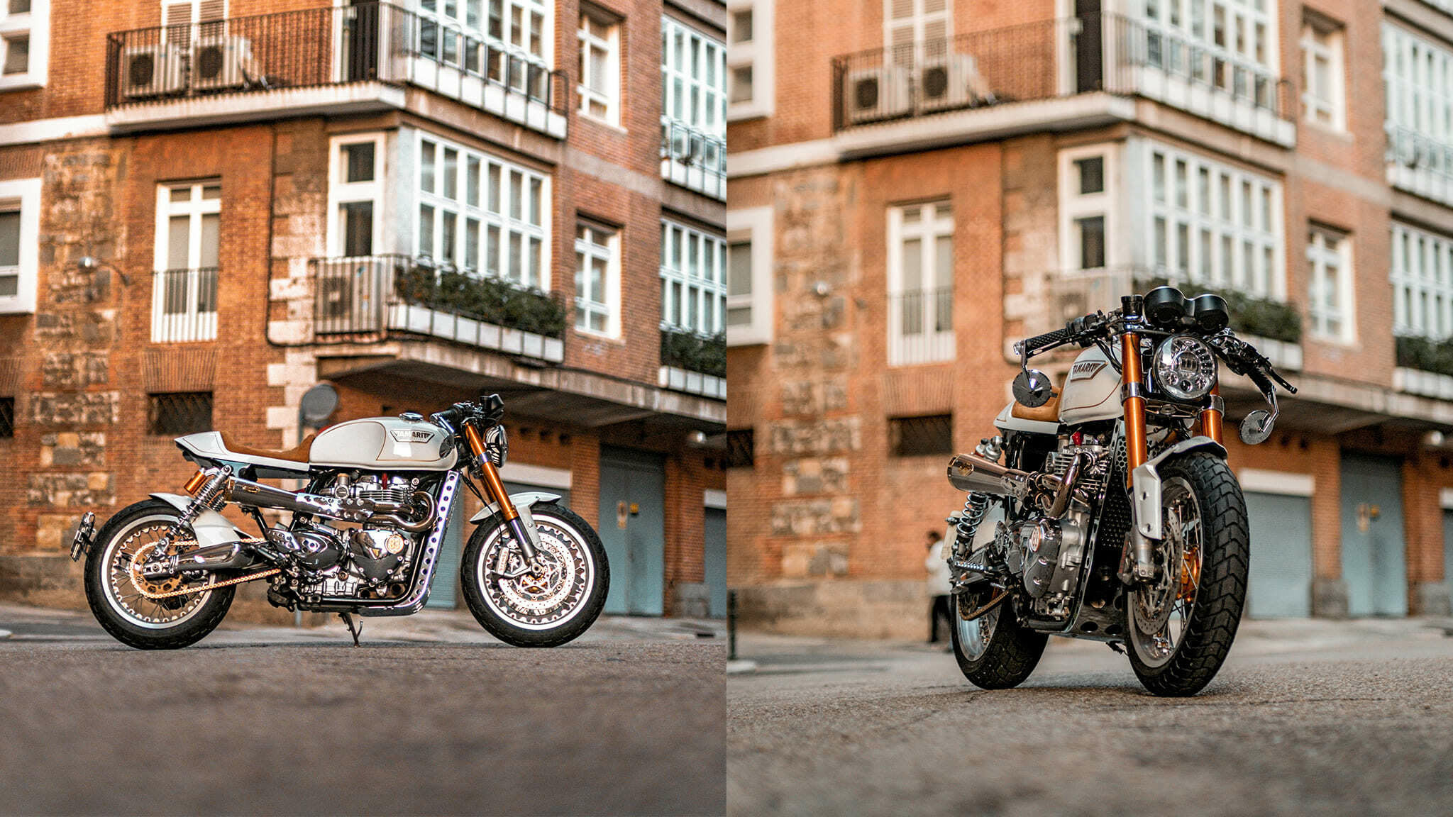 thruxton R Cafe racer tamarit claus
