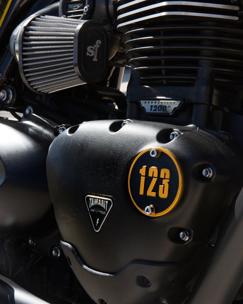 123 espartana thruxton1200r brat style tamarit