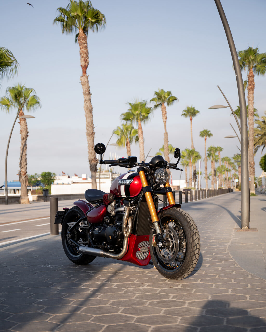 triumph bonneville t100 hybrid tamarit sigma