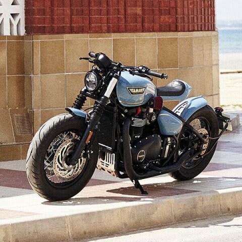 Protège-carter Bobber