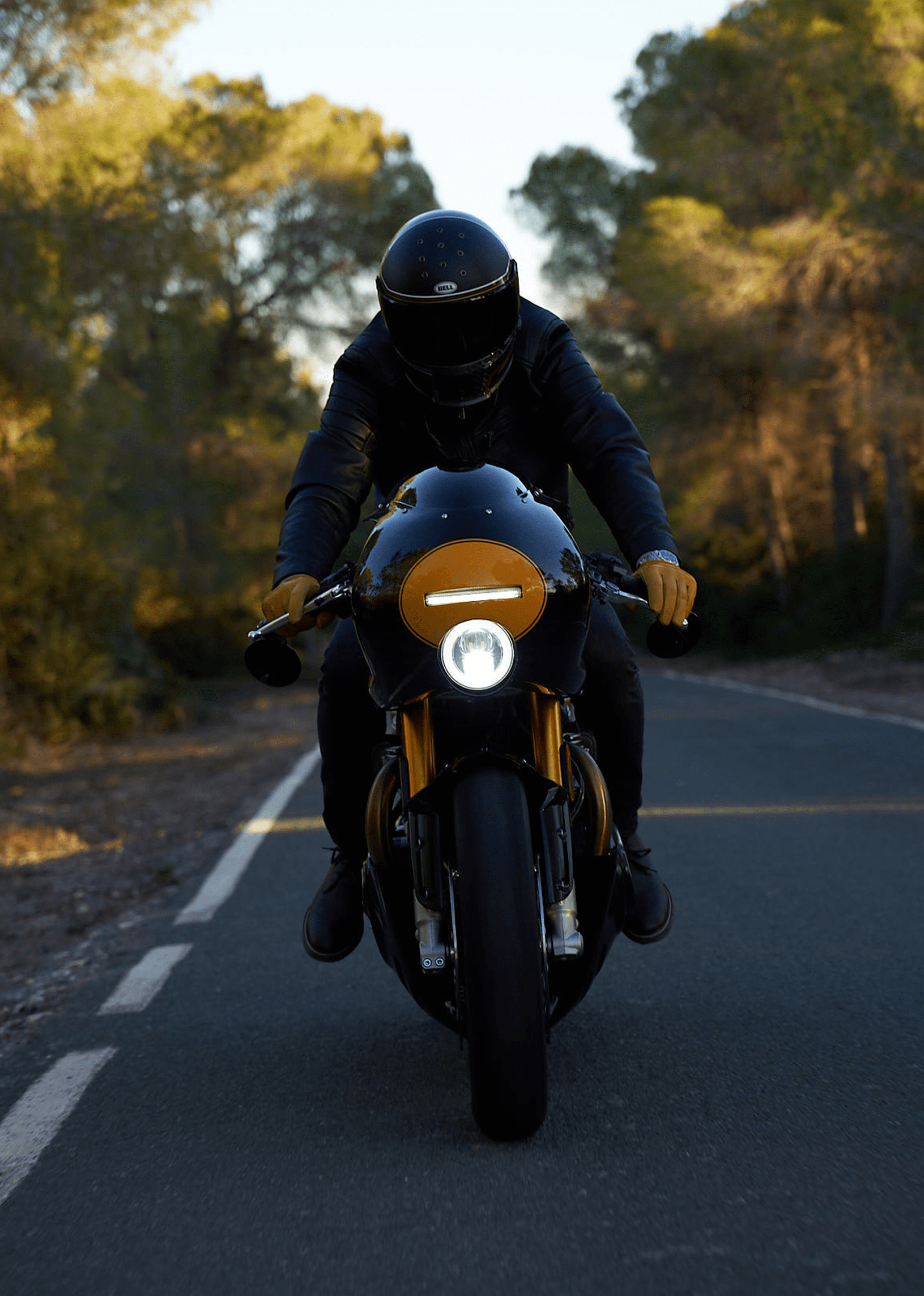 tamarit series 2026 thruxton 1200rs black mamba