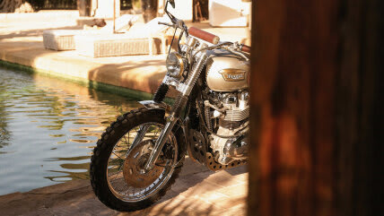 Metallic Springs for Triumph 