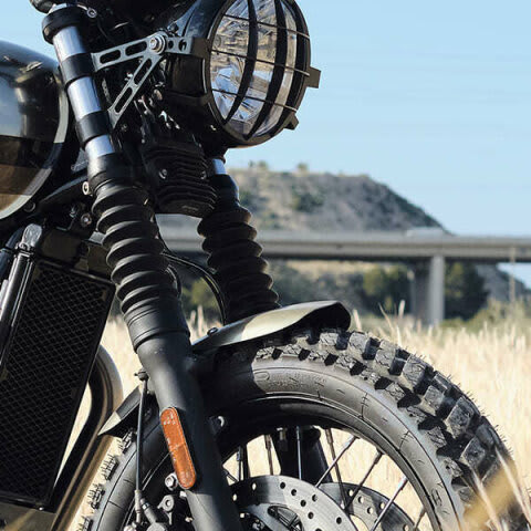 Bizarra front fender