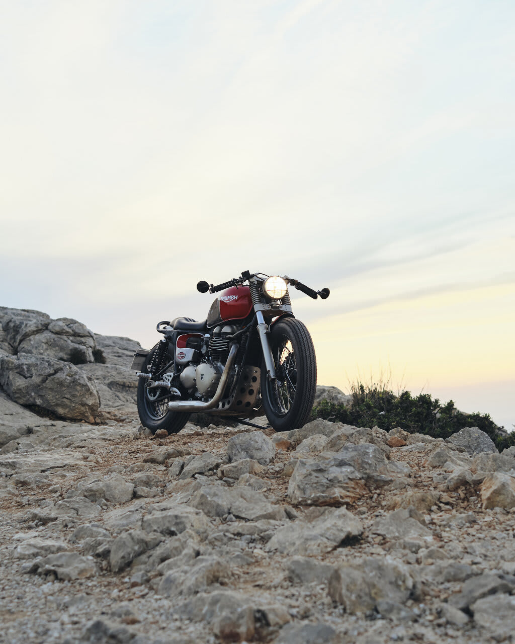 triumph thruxton 900 cafe racer tamarit stalker