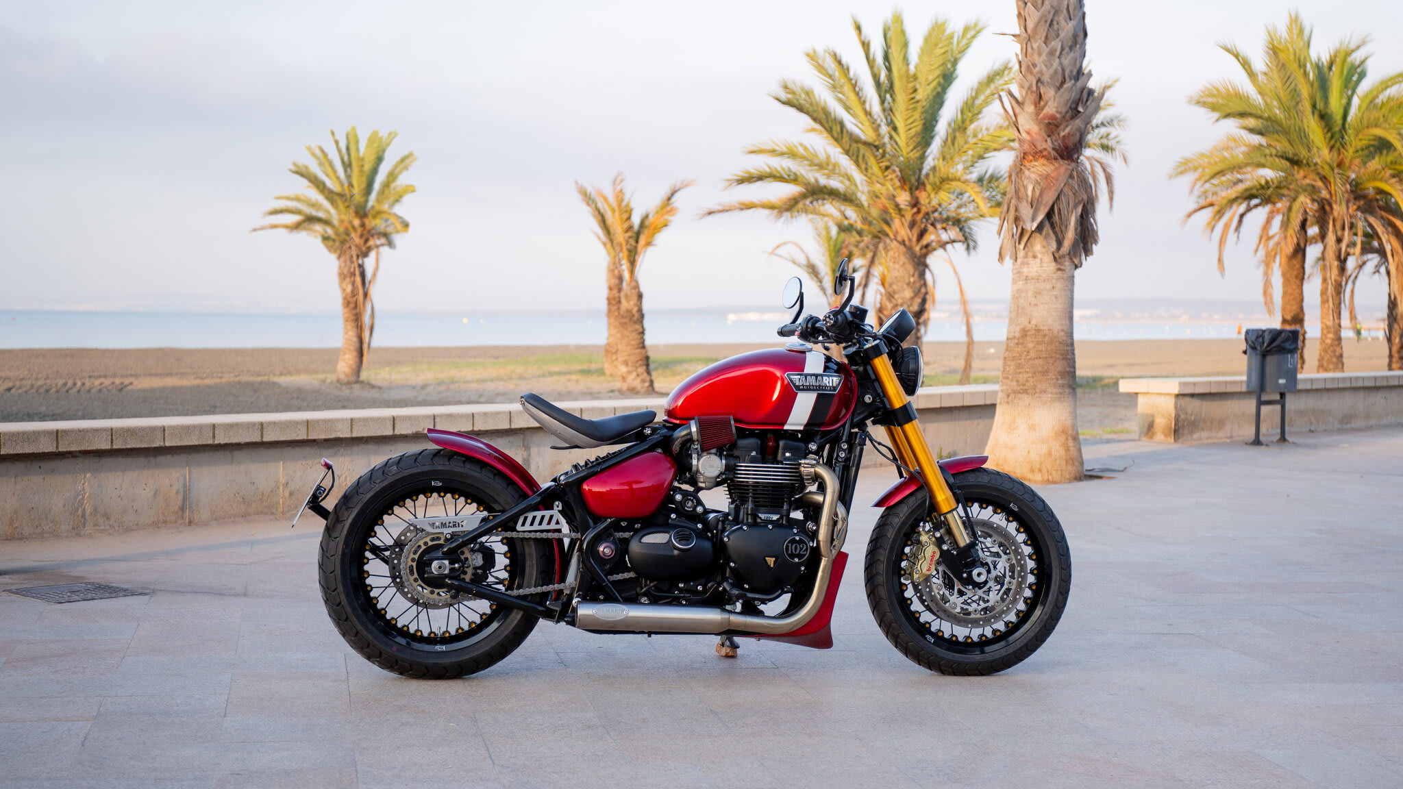 115-moli-triumph-bonneville-t-120-brat-style-01