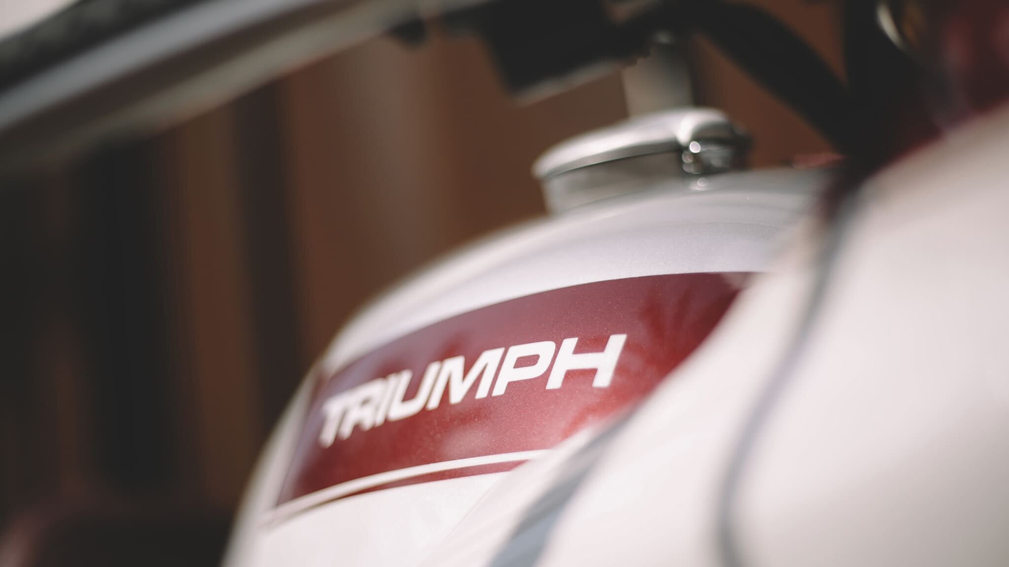 triumph thruxton 1200R cafe racer tamarit julina