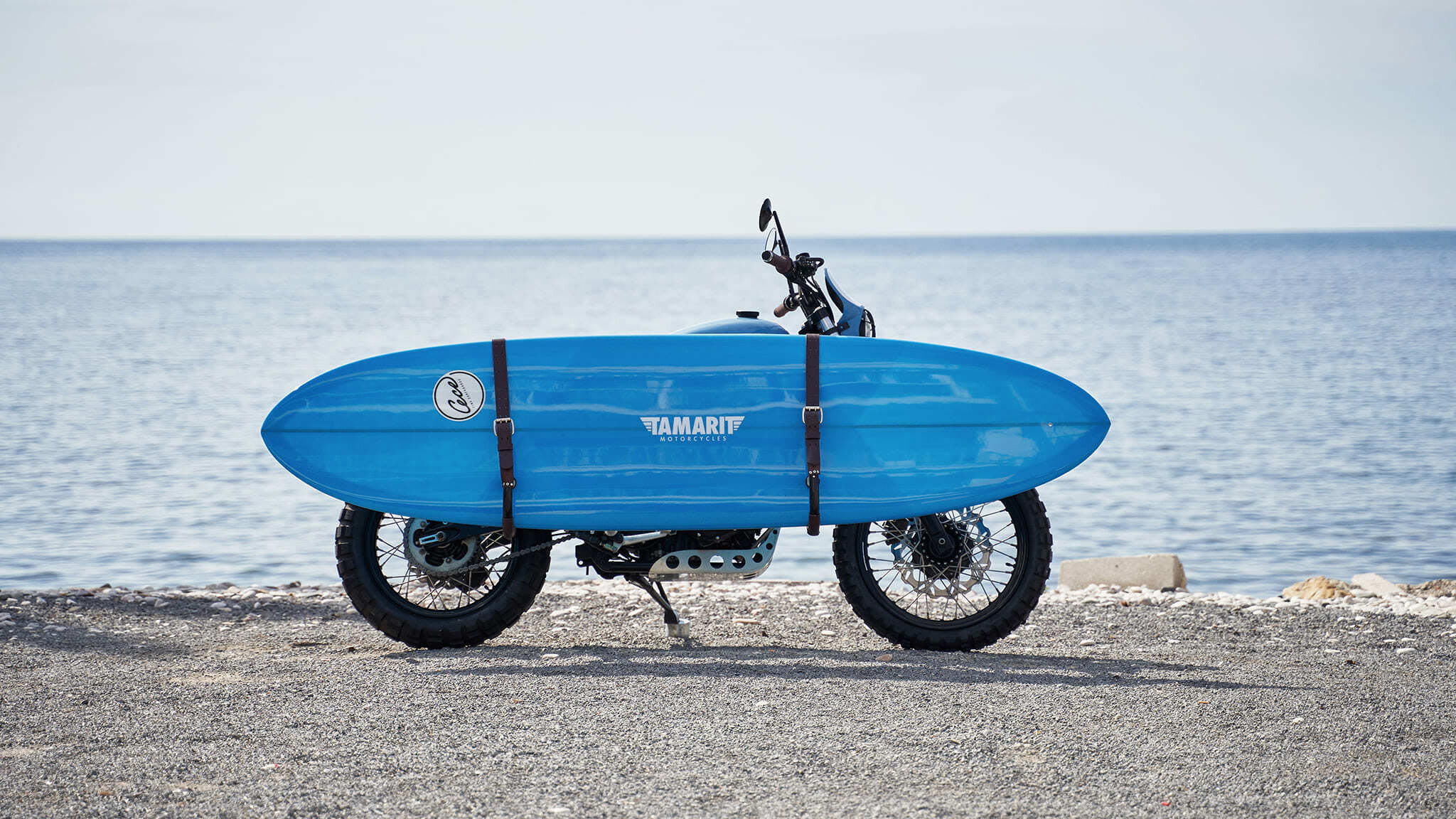 triumph scrambler scrambler style tamarit hippocampus