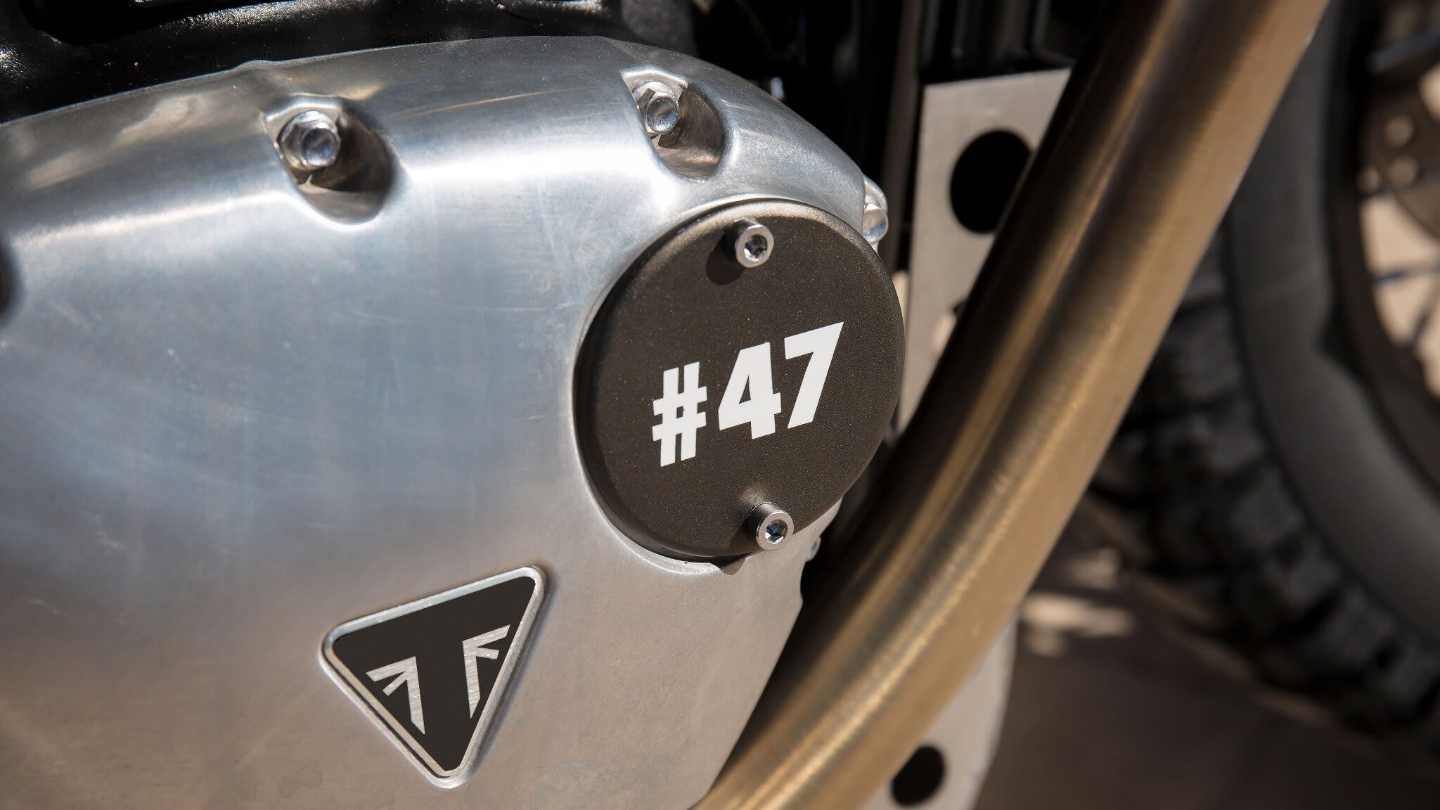 triumph thruxton 1200R cafe racer infected
