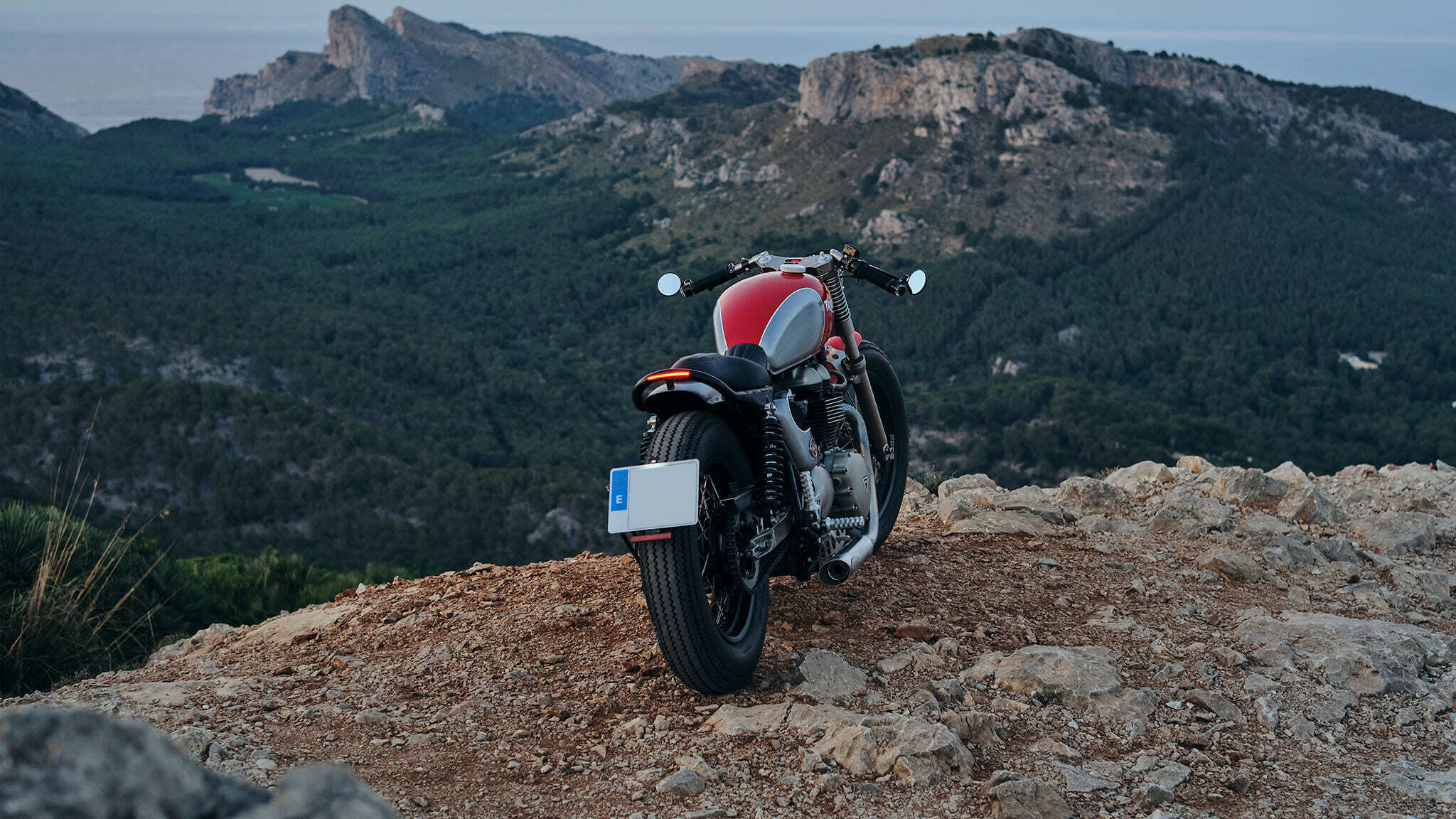 triumph thruxton 900 custom tamarit stalker