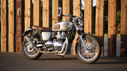 Metallic Springs for Triumph 