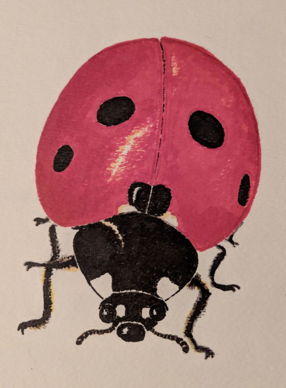 ladybug.jpg Pencil and watercolor marker on watercolor paper