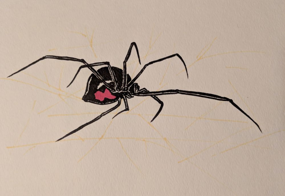 spider.jpg Pencil and watercolor marker on watercolor paper