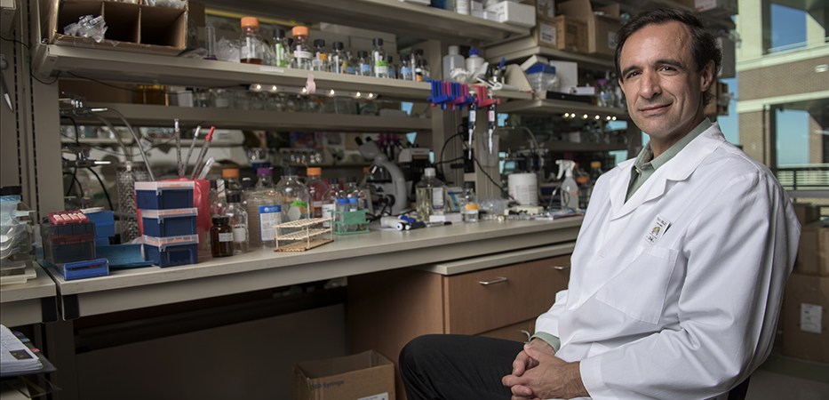 Dr. Jeffrey Cirillo