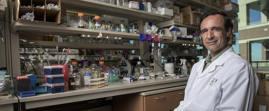 Dr. Jeffrey Cirillo