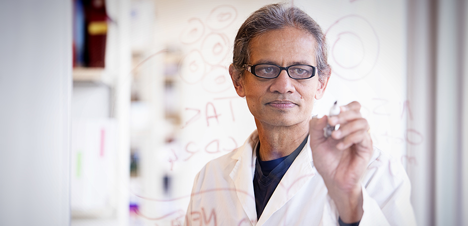 Dr. Rajesh Miranda