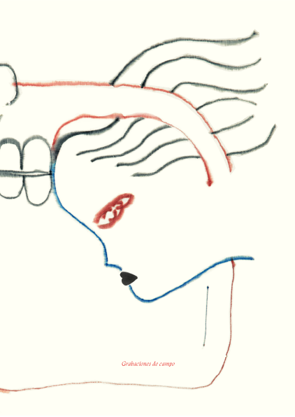 Grabaciones de campo